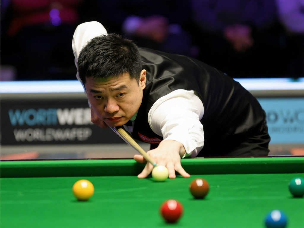 在评论中特 在评论中特